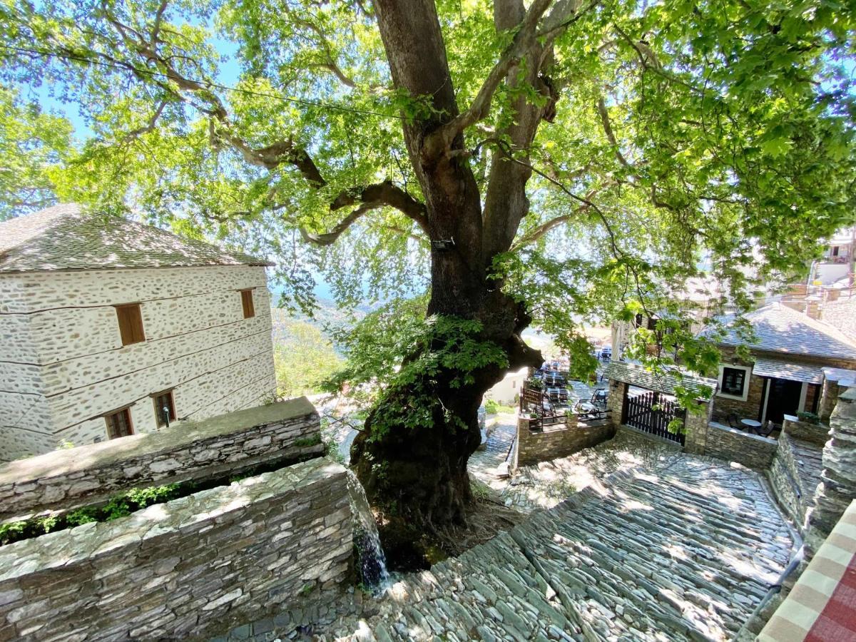 Archontika Karamarlis 3*